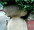 gatepost