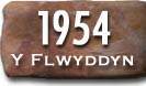 Blwyddyn