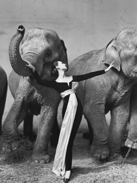 Dovima with Elephants, model, dress by Dior, Cirque d’ Hiver, Paris, August 1955. Copyright © 1956 The Richard Avedon Foundation.