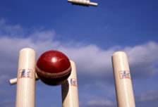 Cricket stumps