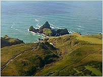 The Lizard Point