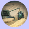harvesting