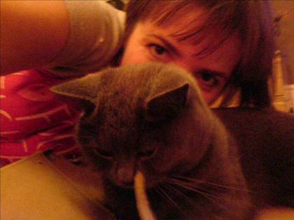 Cats eh. This one is camera shy