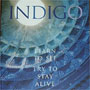 the novel Indigo