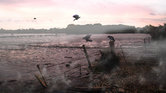 Marsh Crows Marsh Crows