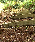 Steps at Clinton's Hill