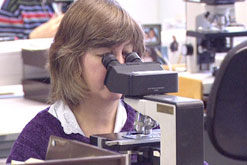 Cervical cancer screening