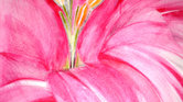 Flower - Art... Flower - Art...