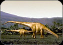 Argentinasaurus grew to 5 storeys high