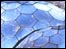 Eden Project