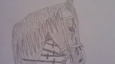 Horse drawing... Horse drawing...