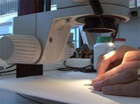 Research at Queen Mary College