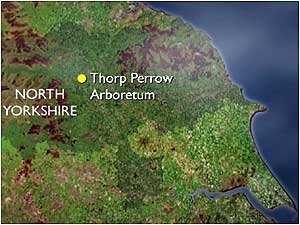 Thorp Perrow