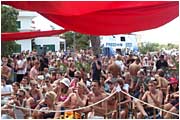 Pacha punters
