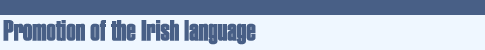 Irish Language