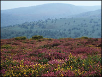 The Quantock Hills (G Parish)