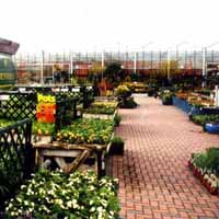 A Garden Centre