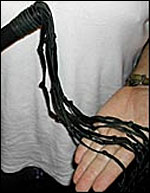 Witch's whip