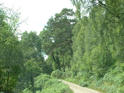 Gleann Garradh