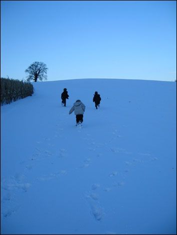 Sledging by Sarah Laws - send your pictures to worcester@bbc.co.uk