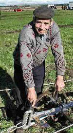 Bertie points to the 'hack'