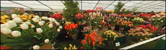Spring Garden Show