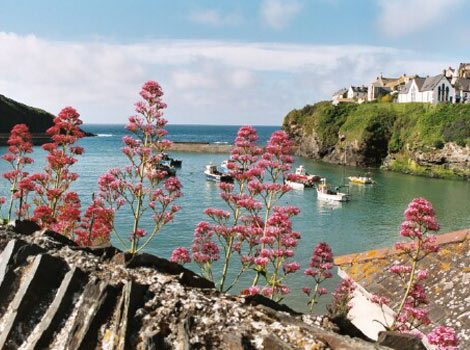 Port Isaac harbour
