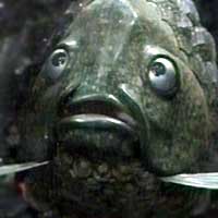Teufel the Fish God is staring at you