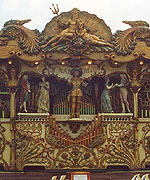 organ