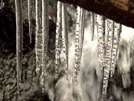 Ice