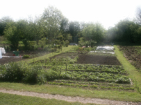 Castle Hill allotments