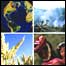 Capa do relatório do Fórum Econômico Mundial