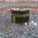 Umrah