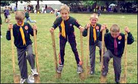 cubs playing on stilts