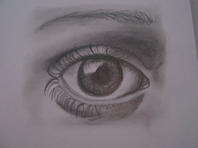 Eye