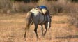 darhad's video screenshot thumbnail