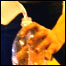 میرا ممبئی