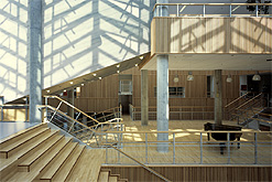 Hellerup School, Copehangen