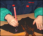 Picture: You can decorate your bat with coloured pens