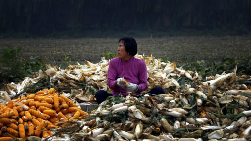 粮食