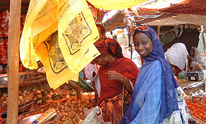 Africa Lives on the BBC