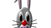 Rabbit face Rabbit face
