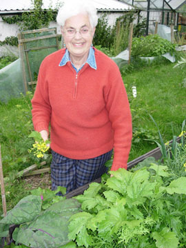 Joy with a bed of mixed greens