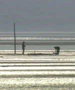 Holy Island
