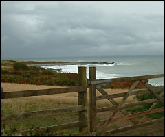 Coast just up front Prawle Point