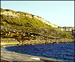 Certain layers in Swindon's Portland Stone can be traced all the way down to Dorset
