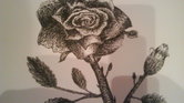 La Rose =D La Rose =D