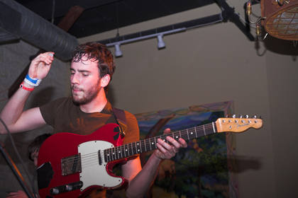 Foals