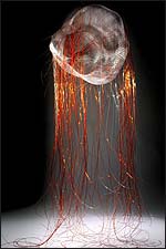 Picture: Transition by Anniken Amundsen (detail)