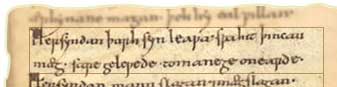 Her syndan thurh synleawa, swa hit thincan maeg, sare gelewede to manege on earde.